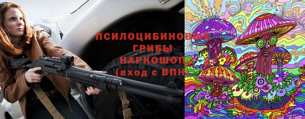 PSILOCYBIN Карталы