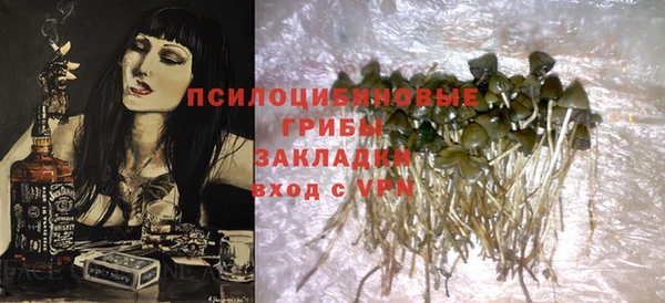 PSILOCYBIN Карталы